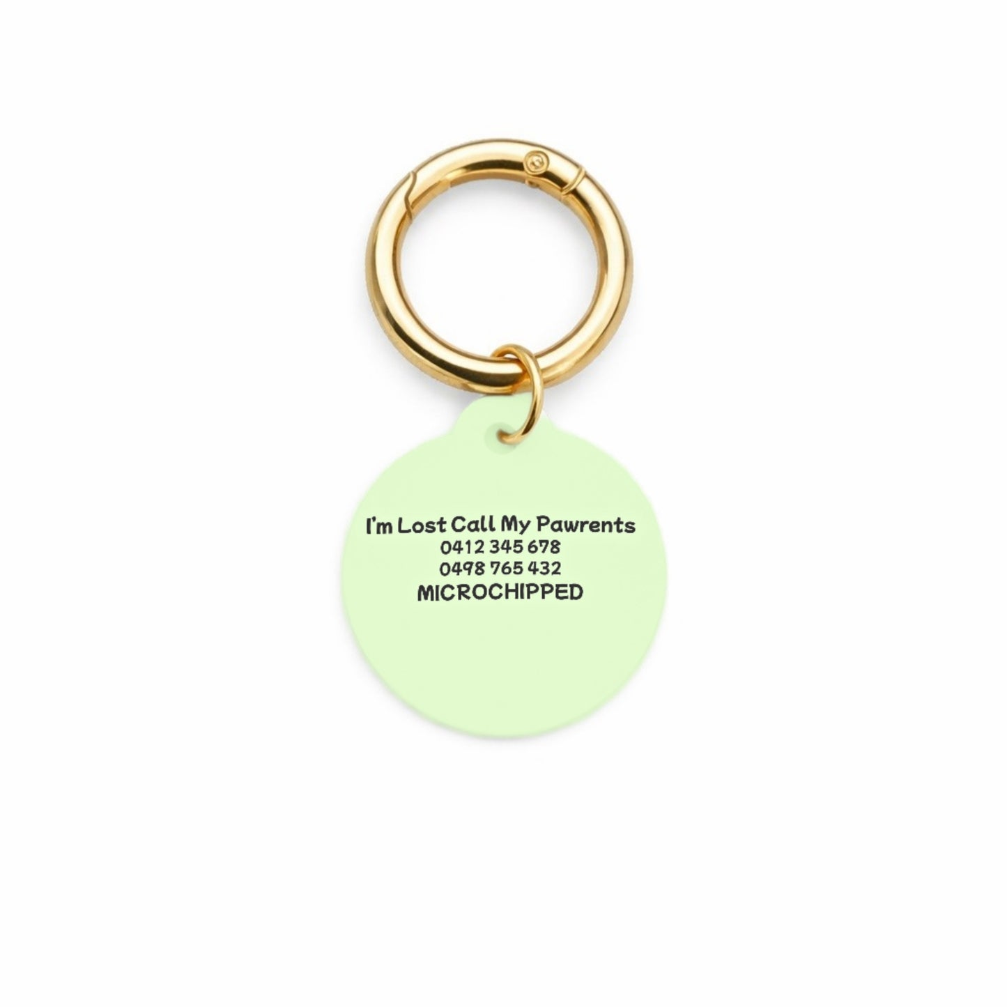 Minty Breeze Pet ID Tag