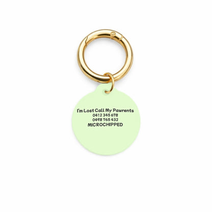 Minty Breeze Pet ID Tag