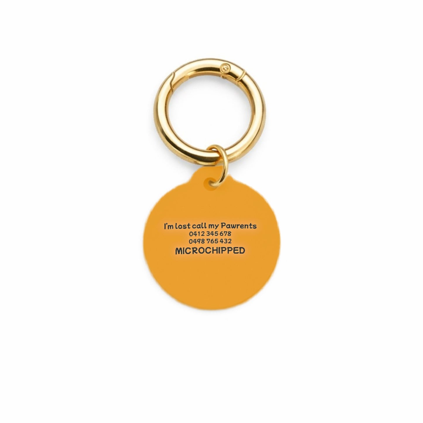 Ziggy Swirl Pet ID Tag