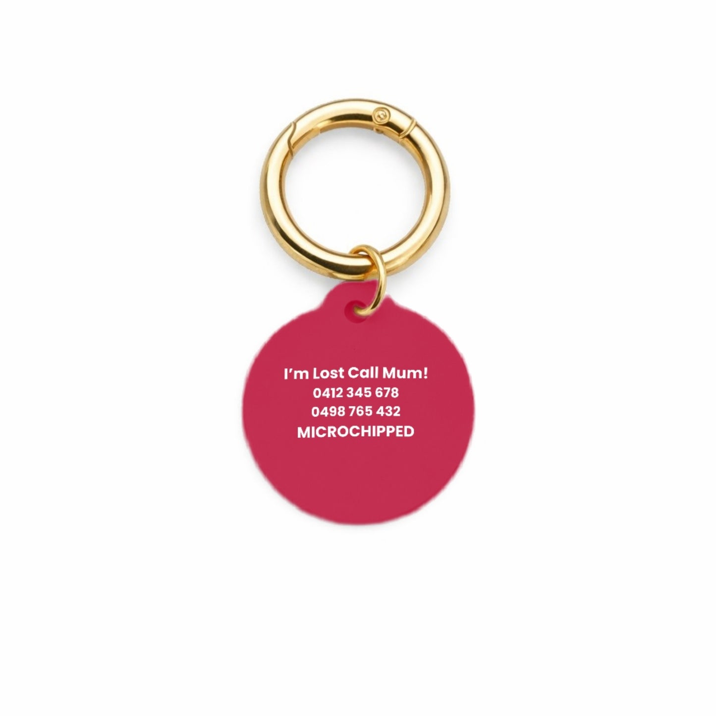 Sports Club Pet ID Tag