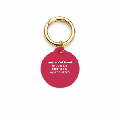 Sports Club Pet ID Tag