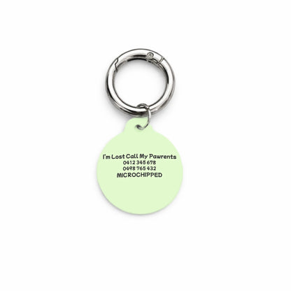 Minty Breeze Pet ID Tag