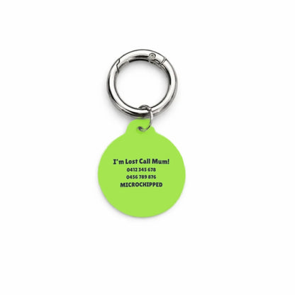 Green Stripe Pet ID Tag