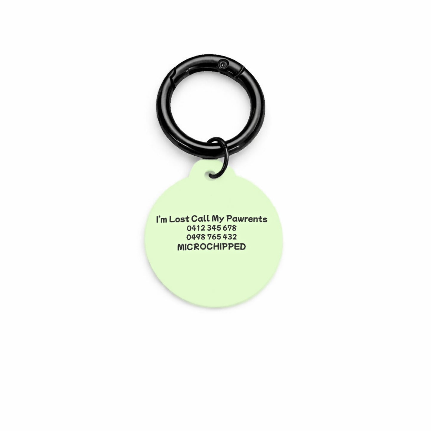 Minty Breeze Pet ID Tag