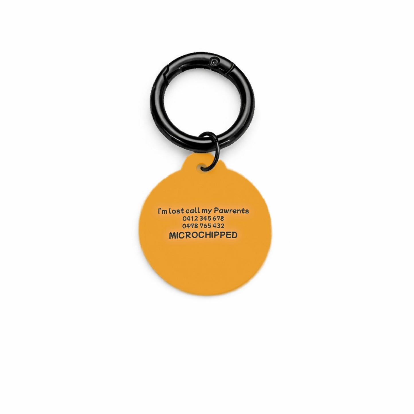Ziggy Swirl Pet ID Tag