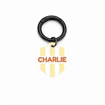 Sunny Stripe Pet ID Tag