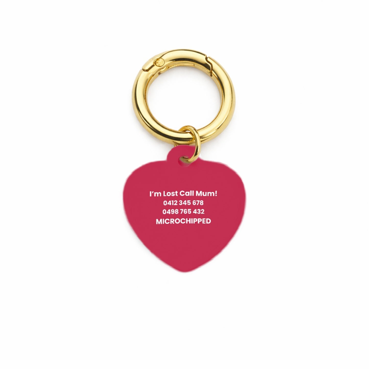 Sports Club Pet ID Tag