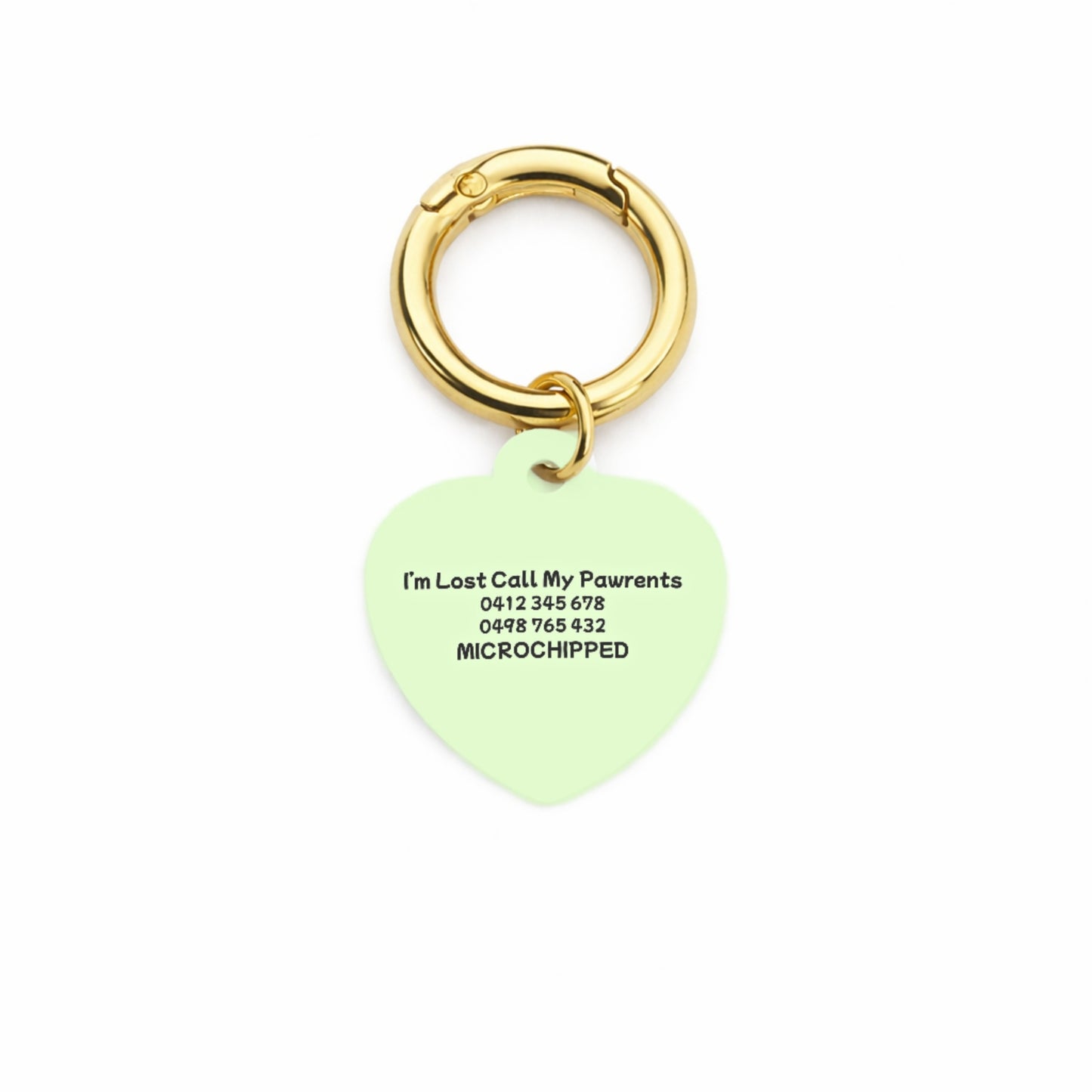 Minty Breeze Pet ID Tag