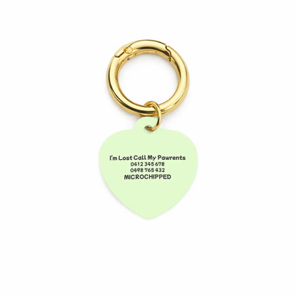 Minty Breeze Pet ID Tag