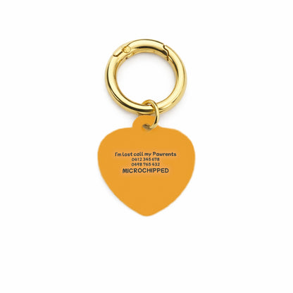 Ziggy Swirl Pet ID Tag