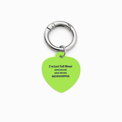 Green Stripe Pet ID Tag