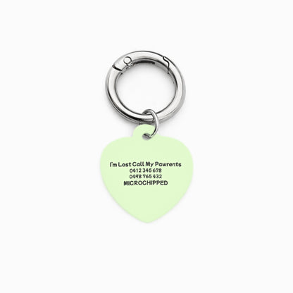 Minty Breeze Pet ID Tag
