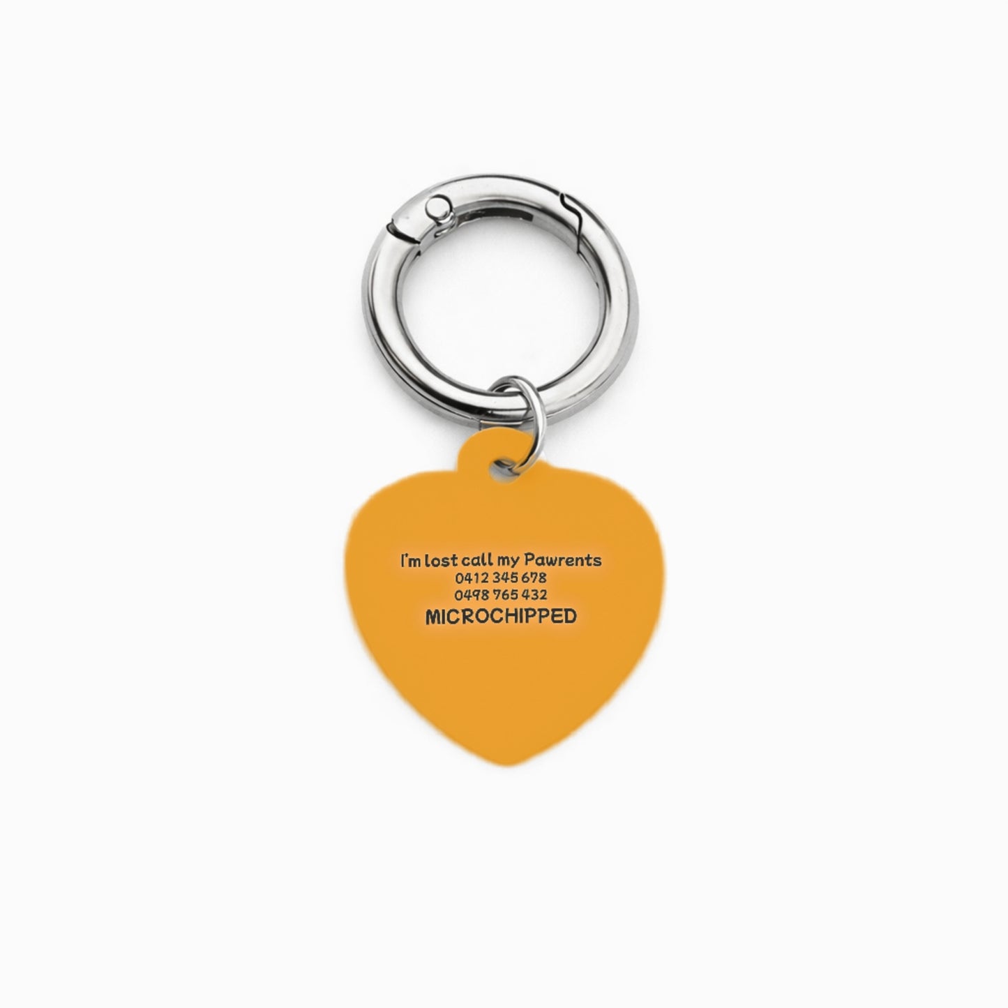 Ziggy Swirl Pet ID Tag
