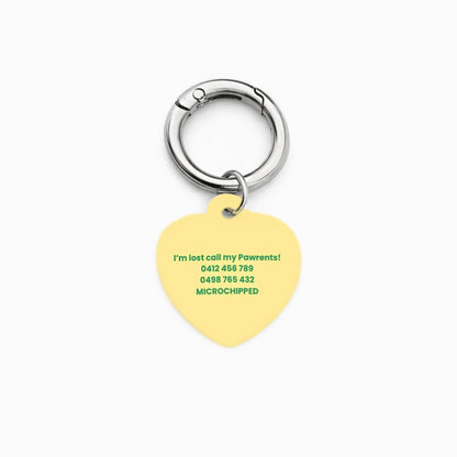 Spring Daisy Pet ID Tag