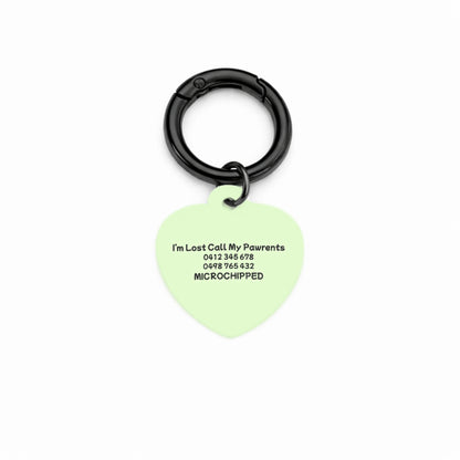 Minty Breeze Pet ID Tag