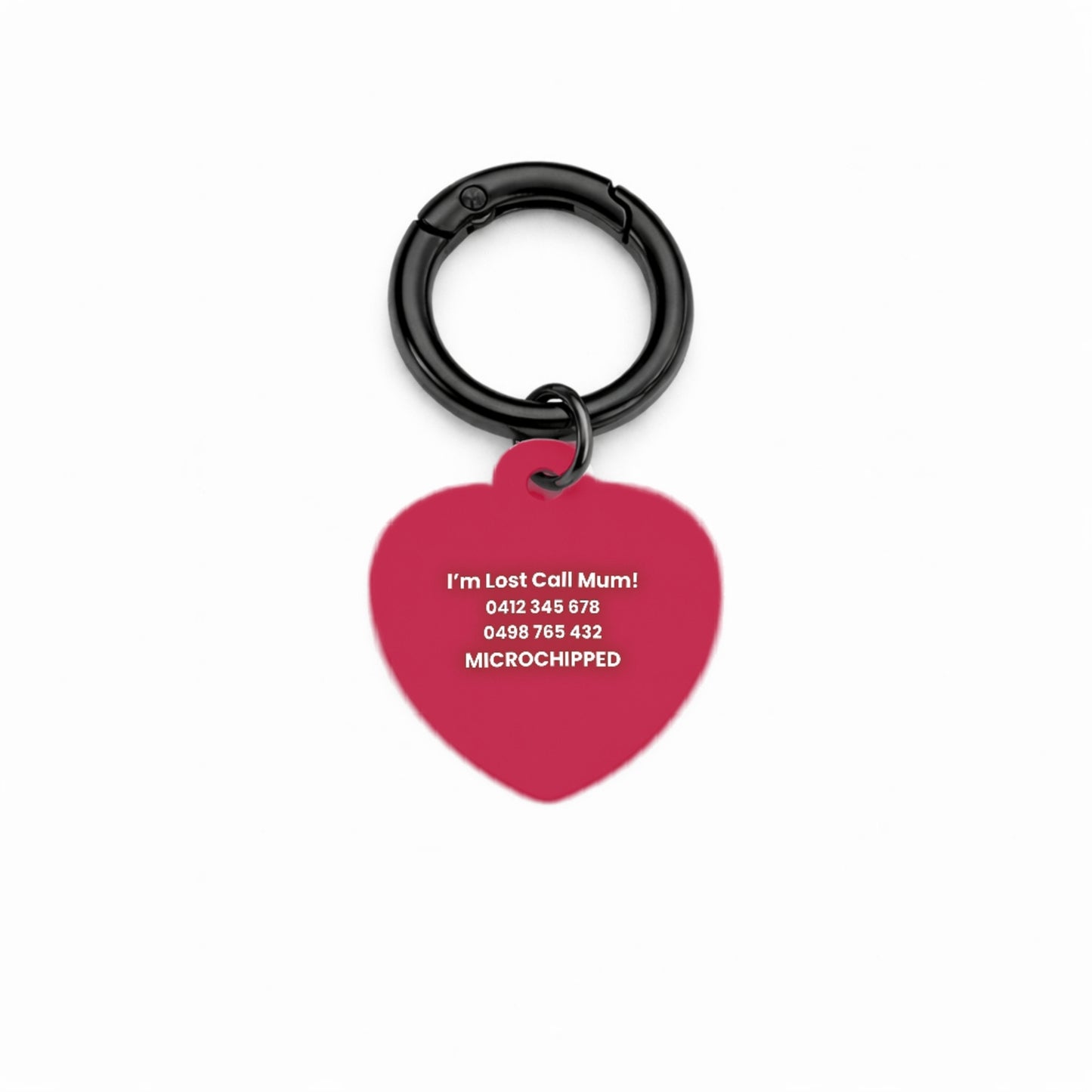 Sports Club Pet ID Tag
