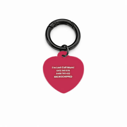 Sports Club Pet ID Tag