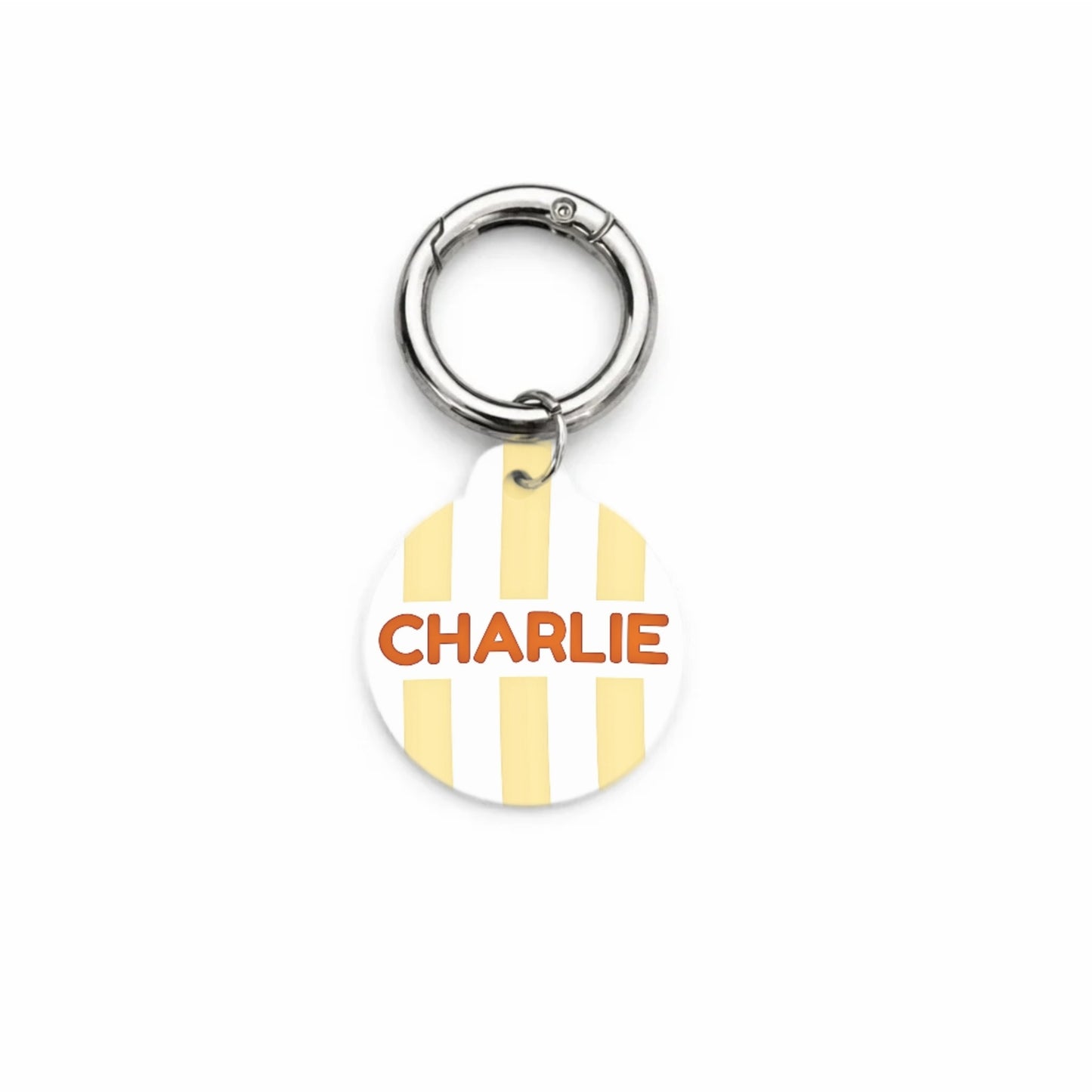 Sunny Stripe Pet ID Tag