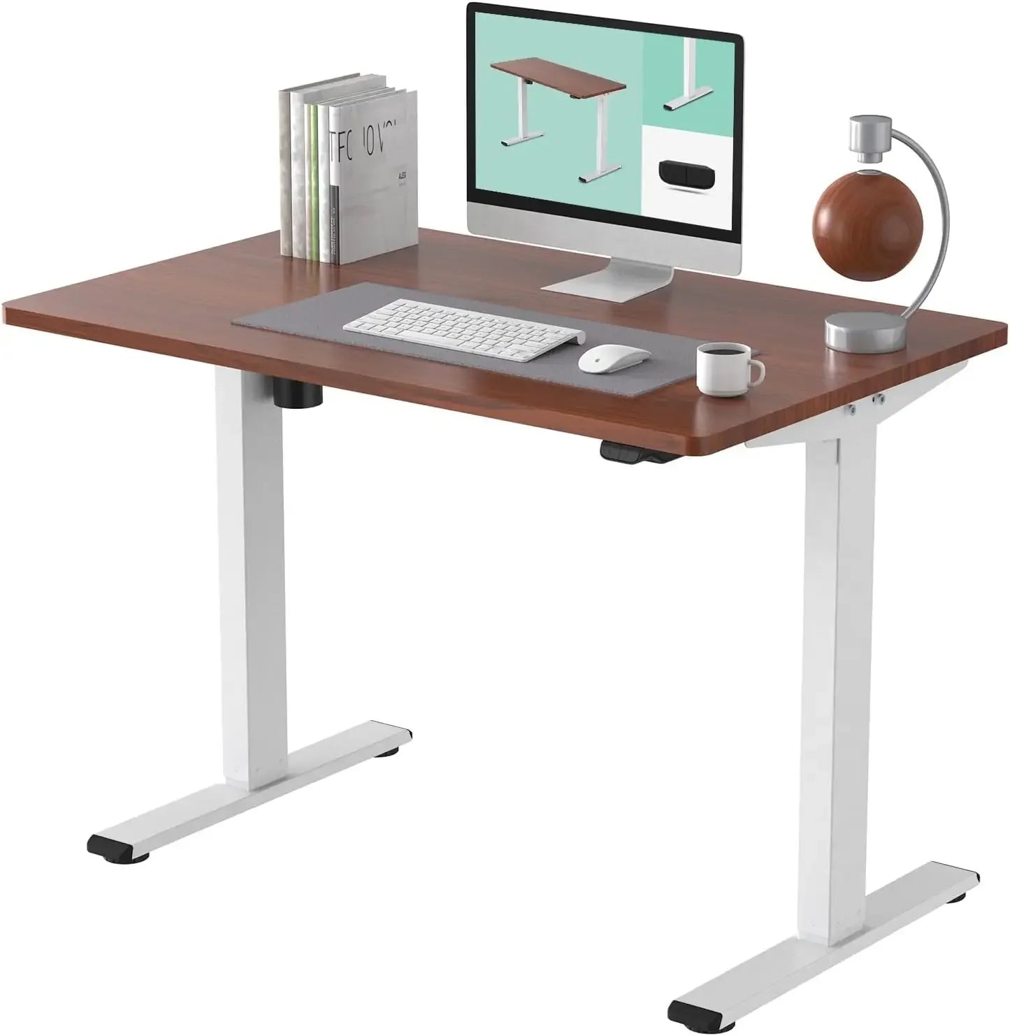 Primva ErgoLift 48 – Electric Standing Desk (48x30", Black)